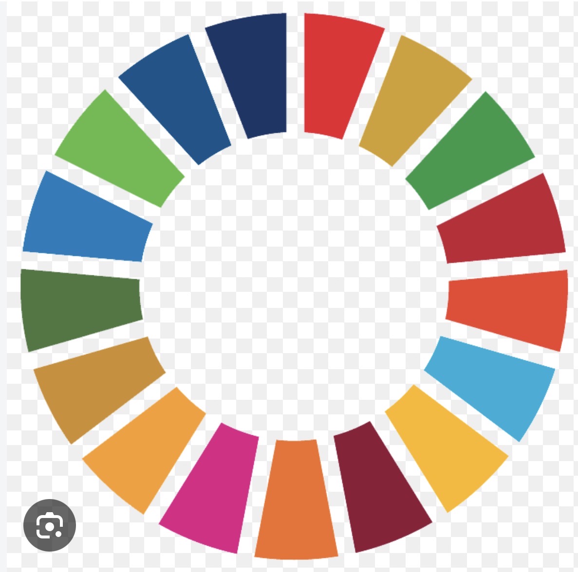 United Nations Sustainable Development Goals colour wheel